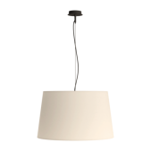 Pakabinamas šviestuvas...