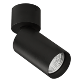 Paviršinis akcentinis...