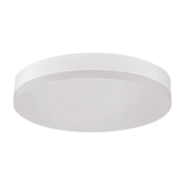 24W paviršinis lubų...