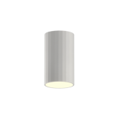 Paviršinis lubų šviestuvas...