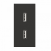 Dvigubas USB lizdas, juodos...