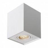 Paviršinis lubų šviestuvas...