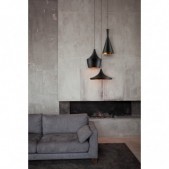 Pakabinamas šviestuvas...