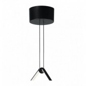 Pakabinamo šviestuvo...