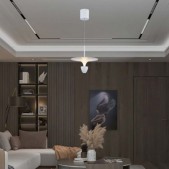9W LED pakabinamas...