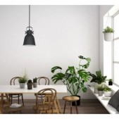 Pakabinamas šviestuvas...