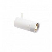 25W LED akcentinis...