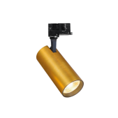 25W LED akcentinis...