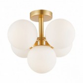 Paviršinis lubinis...