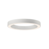 55W LED paviršinis lubų...