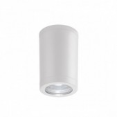 Paviršinis lubinis...