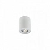 Paviršinis lubinis...