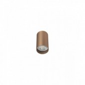 Paviršinis lubinis...