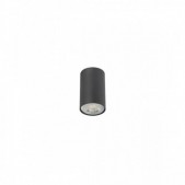 Paviršinis lubinis...