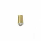 Paviršinis lubinis...