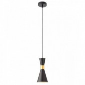 Pakabinamas šviestuvas...