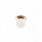 Paviršinis lubinis...