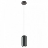 Pakabinamas šviestuvas...