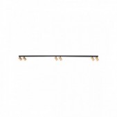 Paviršinis lubinis...