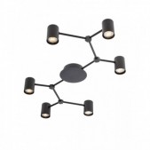 Paviršinis lubinis...