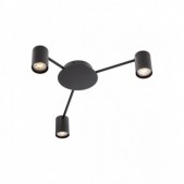 Paviršinis lubinis...