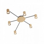 Paviršinis lubinis...