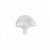 Paviršinis lubinis...