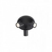 Paviršinis lubinis...