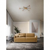 Paviršinis lubinis...