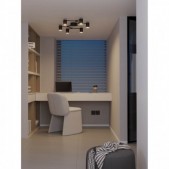 Paviršinis lubinis...