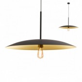 Pakabinamas šviestuvas...