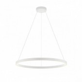 50W LED pakabinamas...