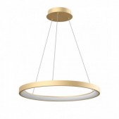 50W LED pakabinamas...