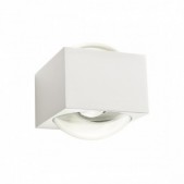 11W LED sieninis lauko...