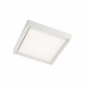 25W LED paviršinis lauko...