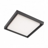 30W LED paviršinis lauko...