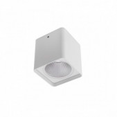 20W LED paviršinis lauko...