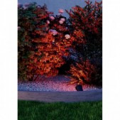 6W LED įsmeigiamas lauko...