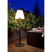 Pastatomas lauko šviestuvas...