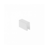 Paviršinio magnetinės...