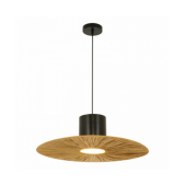 Pakabinamas šviestuvas,...