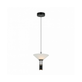 10W LED pakabinamas...