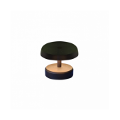 2W LED įkraunamas stalo...