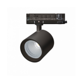 25W LED akcentinis...