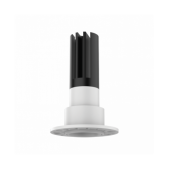 Priglaistomas žiedas...