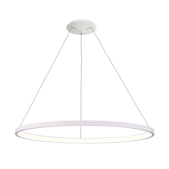 100W LED pakabinamas...