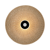 Gaubtas, skirtas šviestuvui...