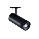 25W LED akcentinis...