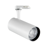 8W LED akcentinis...