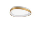 24W LED lubinis šviestuvas...
